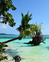 Palau Pacific Ocean 70